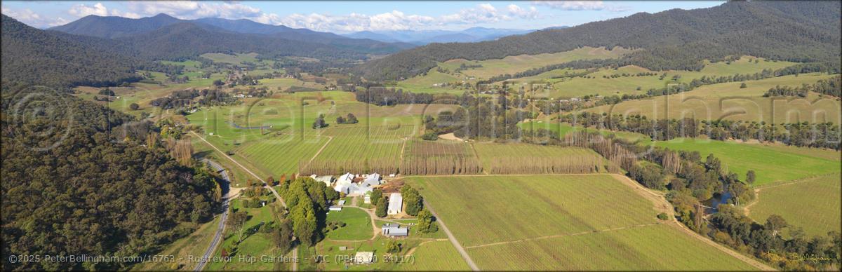 Peter Bellingham Photography Rostrevor Hop Gardens - VIC (PBH3 00 34117)
